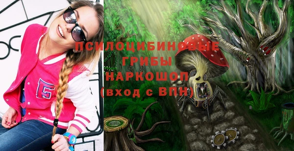 экстази Ельня