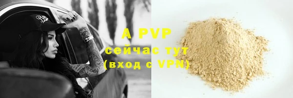 молекула духа Елабуга