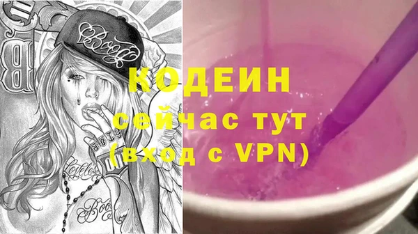 молекула духа Елабуга