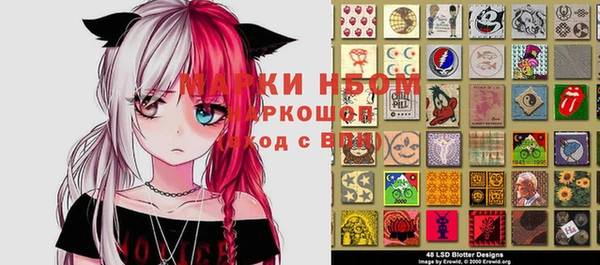 экстази Ельня