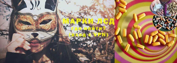 экстази Ельня