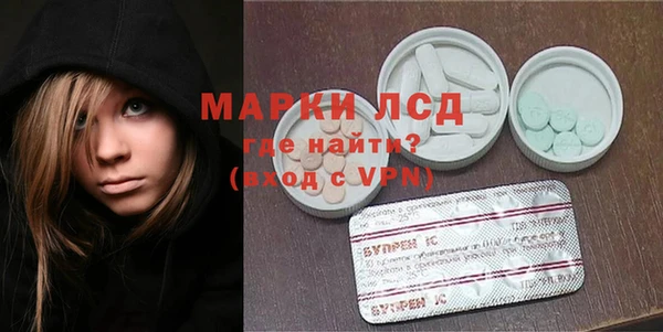 молекула духа Елабуга