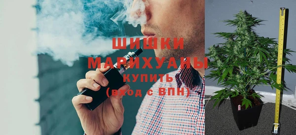 молекула духа Елабуга