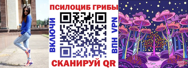 Купить  Боготол  Галлюциногенные грибы ЛСД 